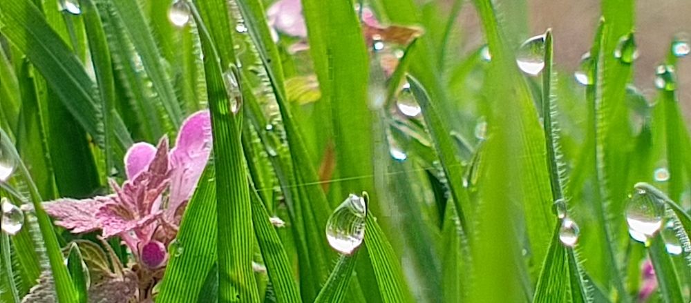 Photograph by Людмилка Лл