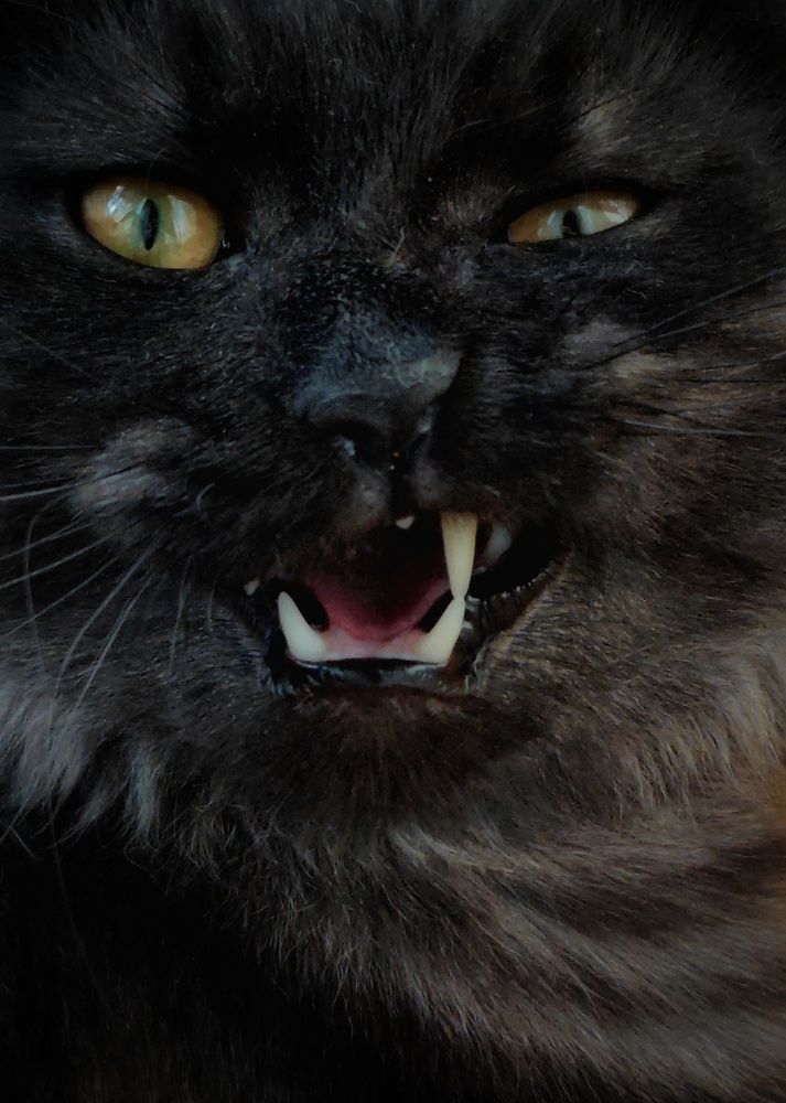 Photograph by Анна Будигай