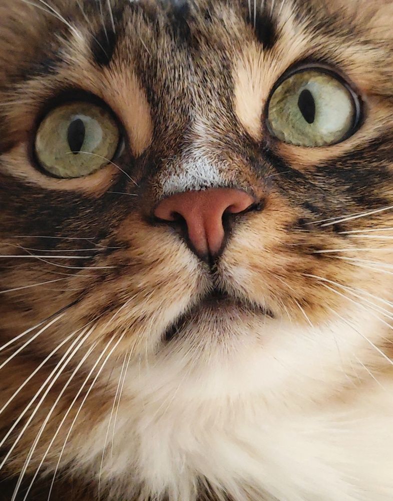 Photograph by Анна Будигай