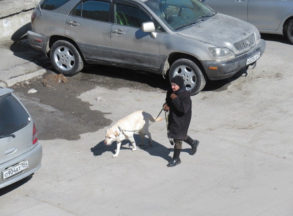 Пенсионеры