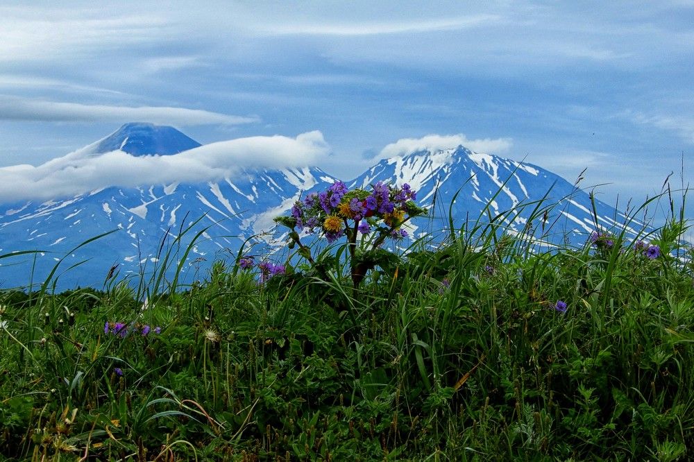 Photograph by София Гавриловна Вотякова