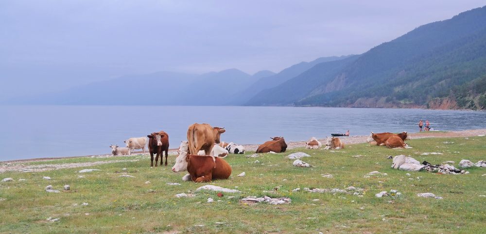 Photograph by Ilja Stroganov