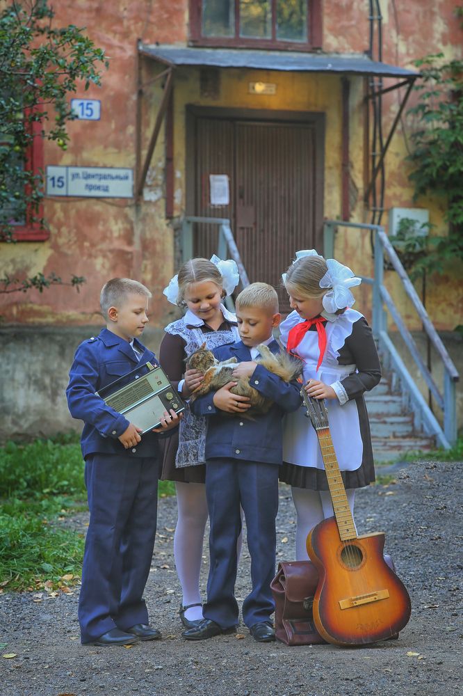 Любимый кот