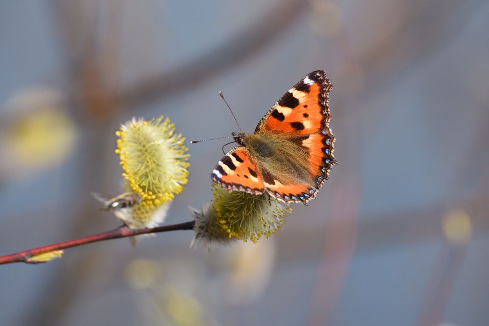 Photograph by Михаил Егоров