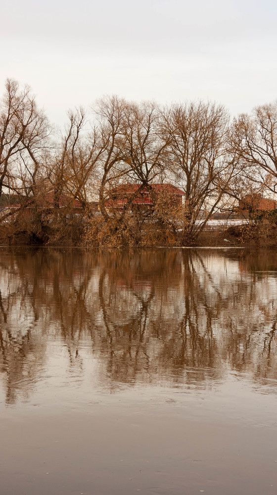 Фотография автора Виталий Дузь