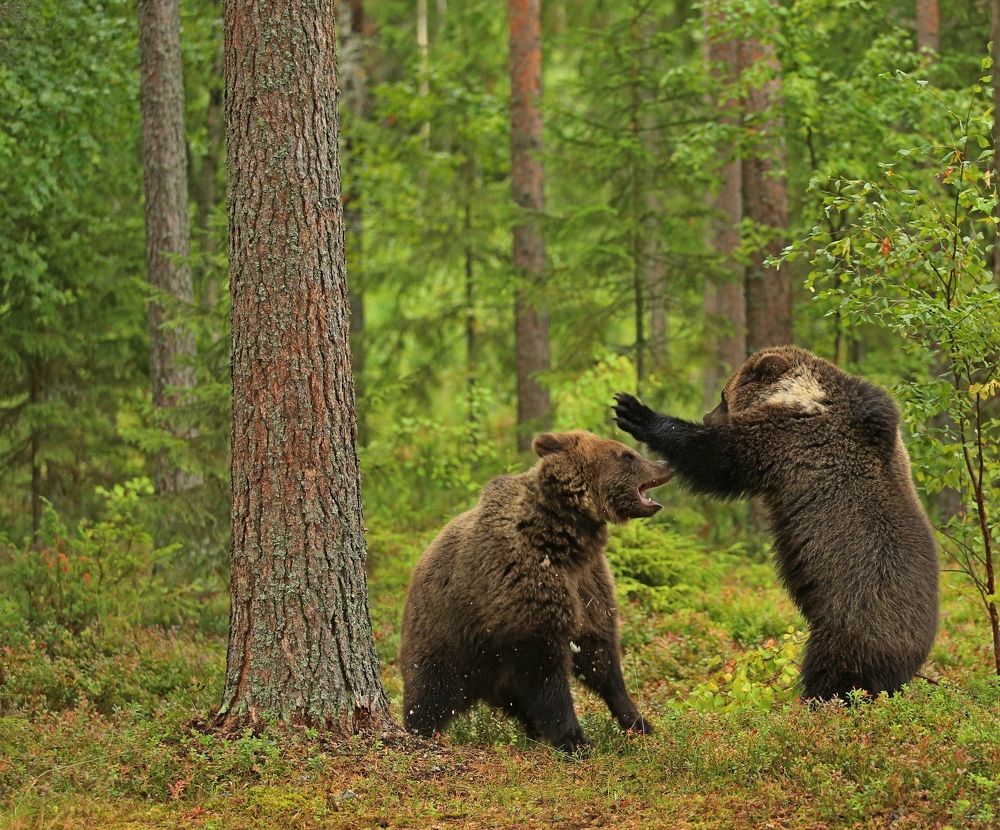 Photograph by Юрий Кетель