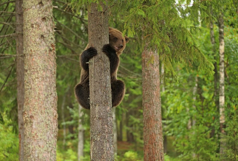 Photograph by Юрий Кетель