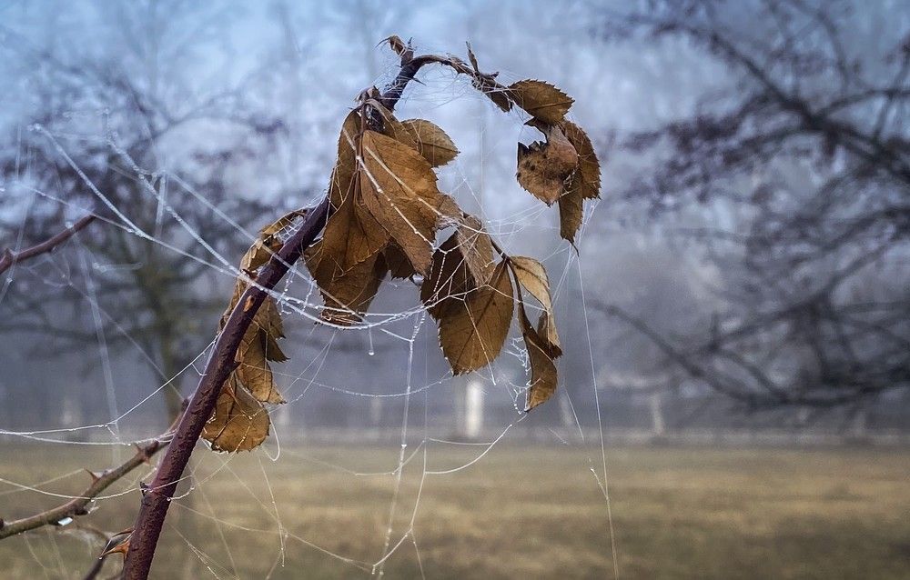 Photograph by Анна Панеева