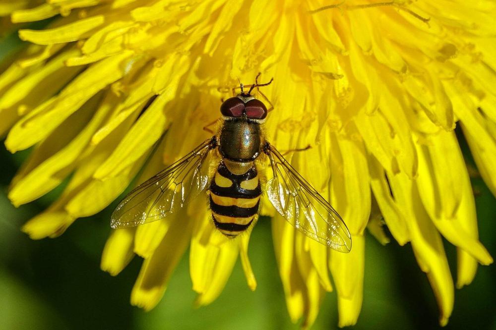 Photograph by Шевченко Алексей