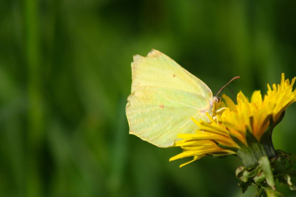 Photograph by Шевченко Алексей