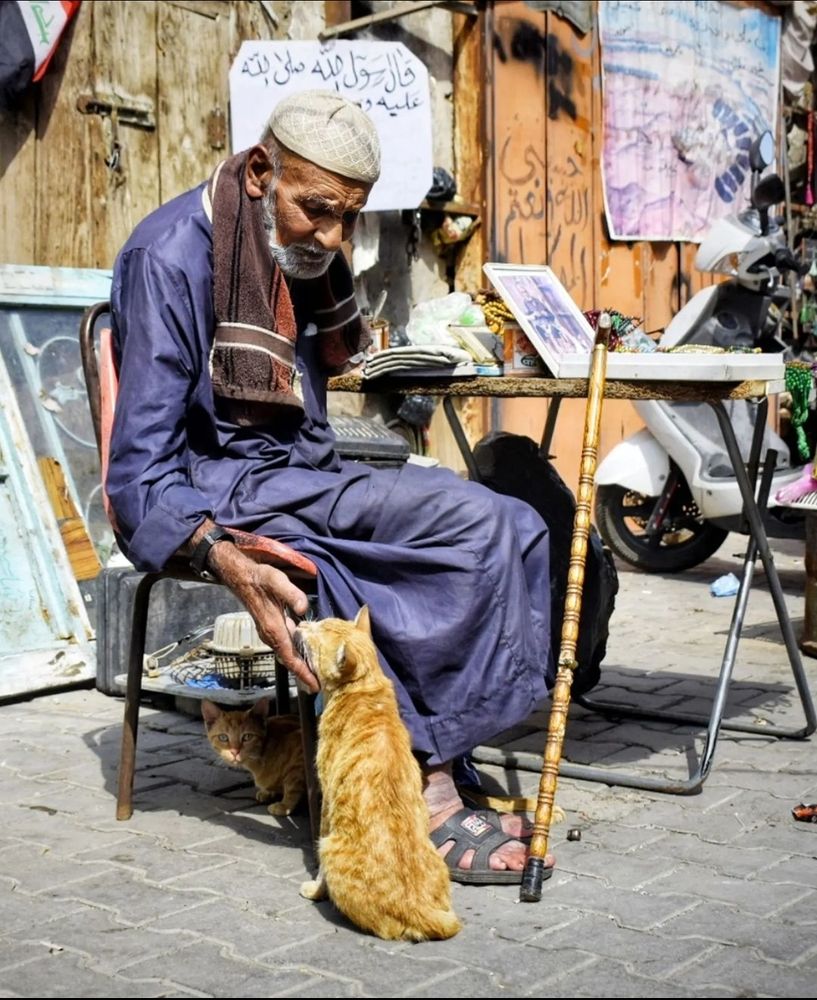 Photograph by Mustafa rady