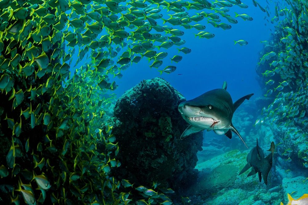 Photograph by Павел Лапшин