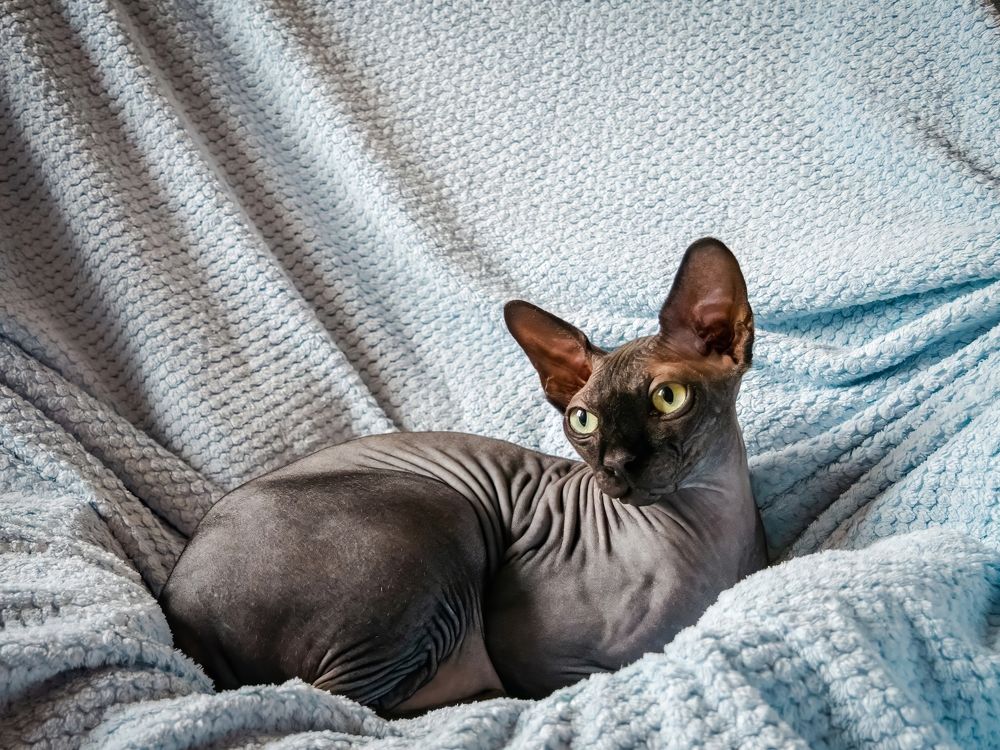 Photograph by Александр Антонов