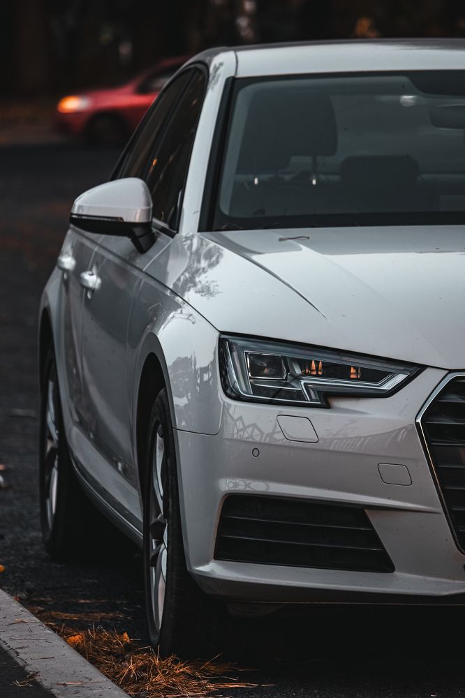 Фотография автора Илья Малеев