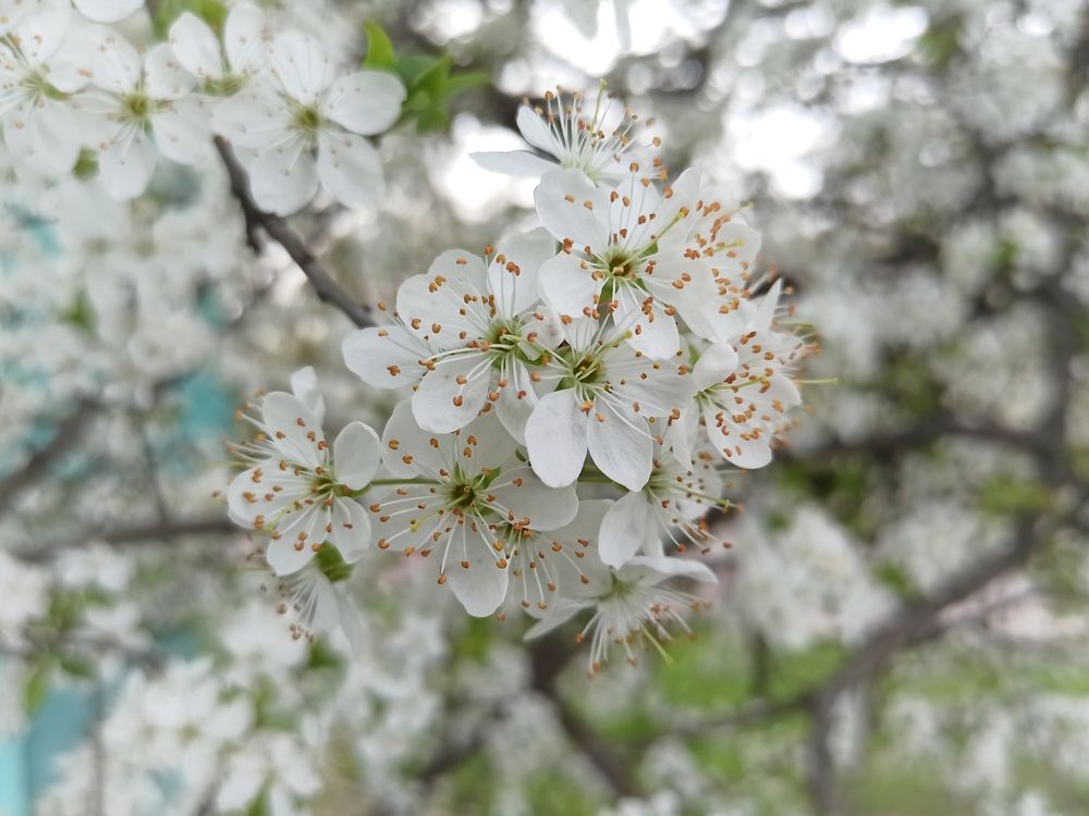 Photograph by Ирина Половцева