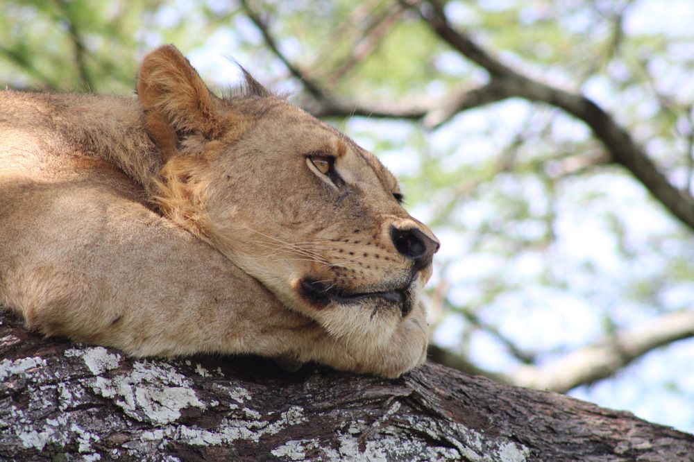 Photograph by Magassa Photography