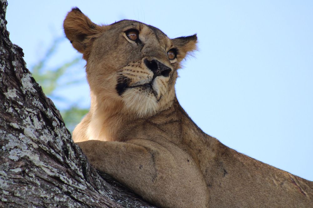 Photograph by Magassa Photography