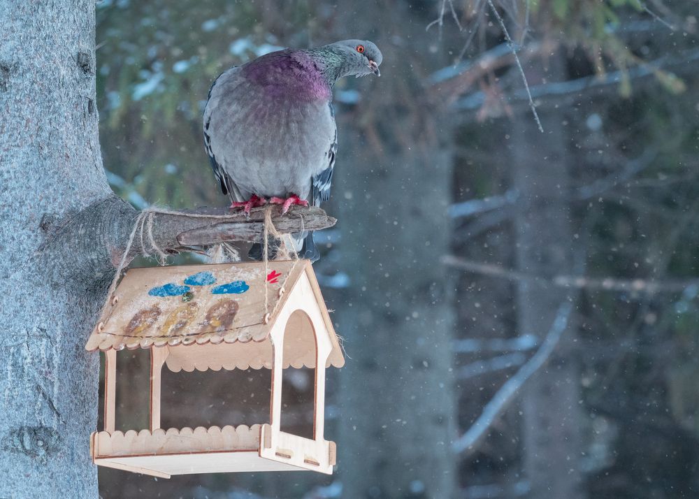 Photograph by Тамара Вотинцева