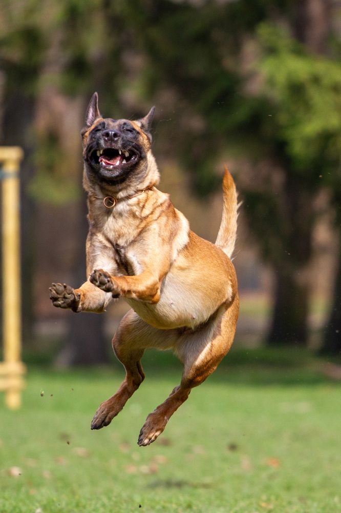 Фотография автора Анна Яковенко