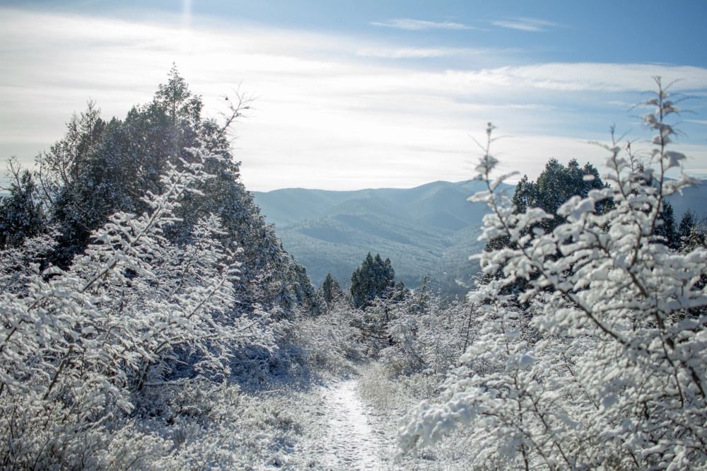 Photograph by Елена Саливон