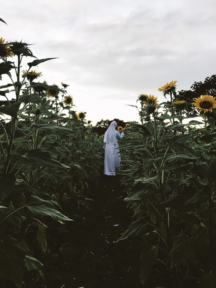 Photograph by Sr. Ma. Jenny Mhy-sy Yasa