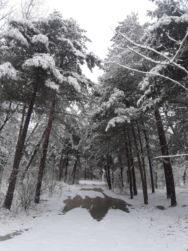 Photograph by Оксана Юдина