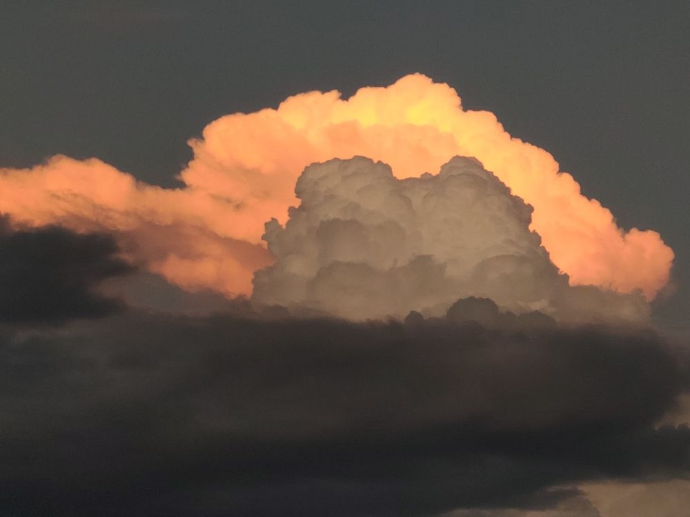 Photograph by Marzio Fattorini