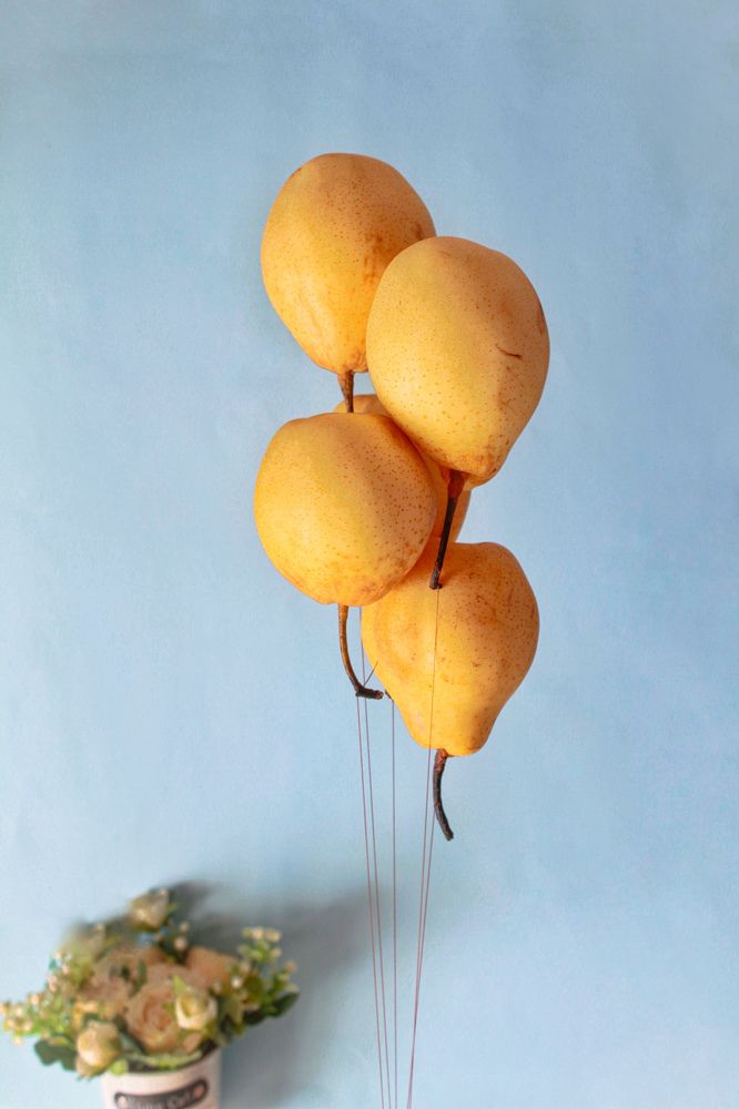 Photograph by Дарья