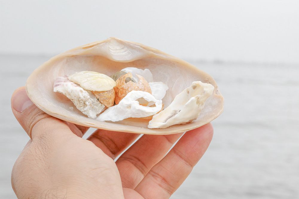 Photograph by Can O. Gunay