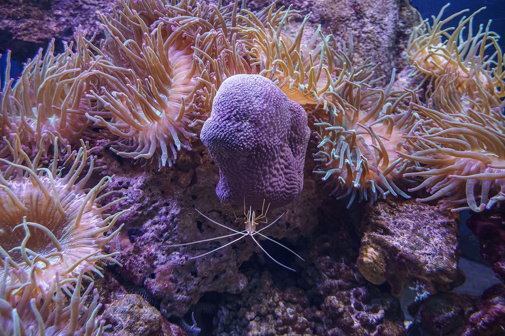 Photograph by Ivan Osipov