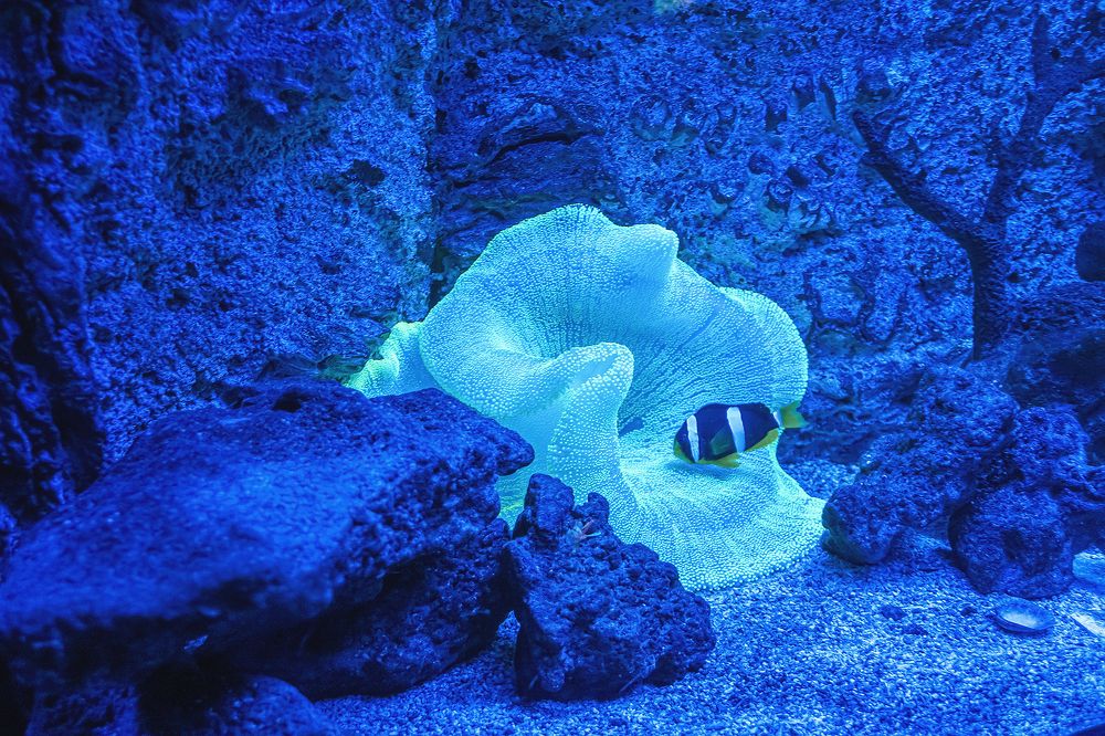 Photograph by Ivan Osipov