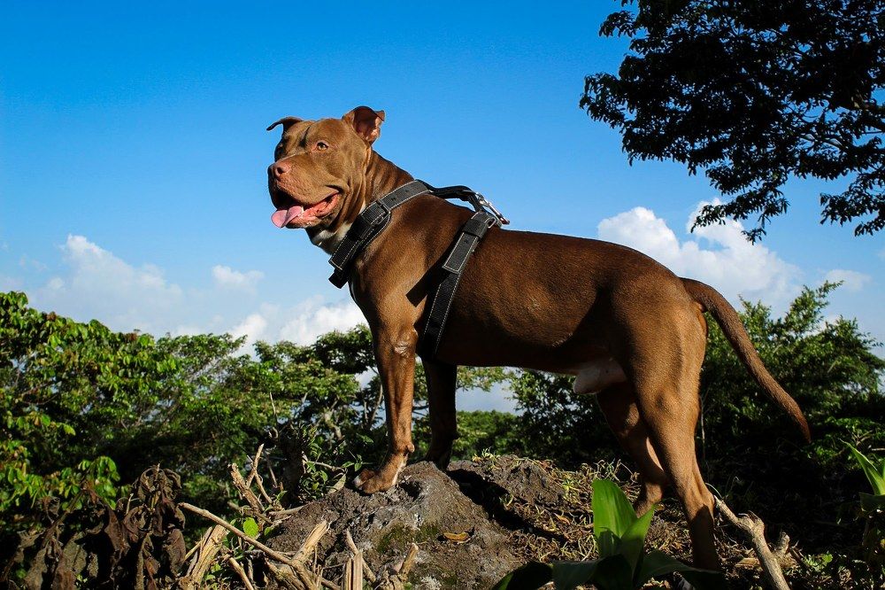 Photograph by Javier Fuentes