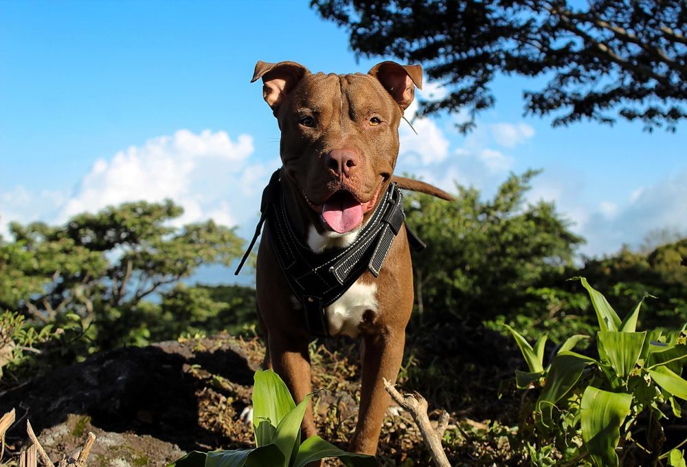 Photograph by Javier Fuentes