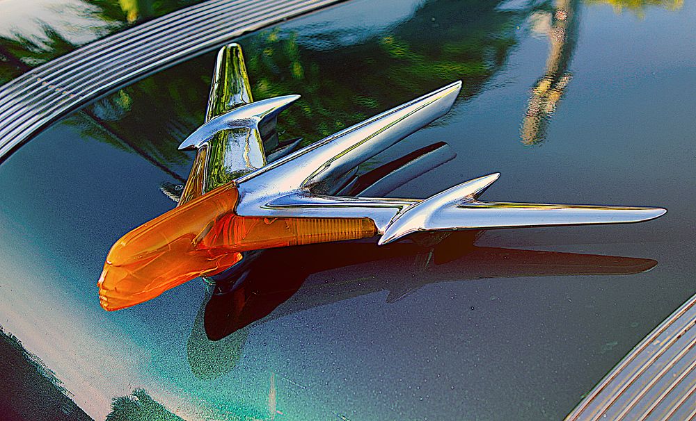 Photograph by дмитрий