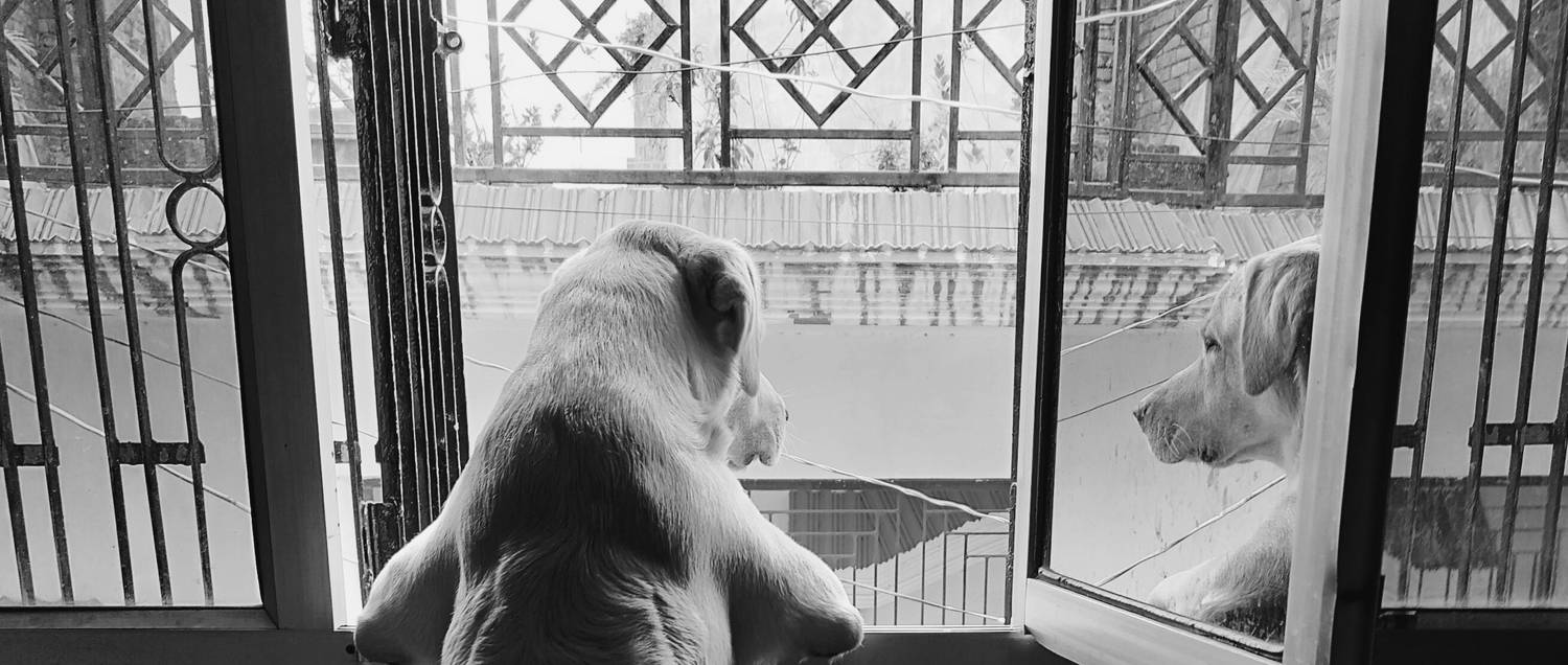 Photo #10515554