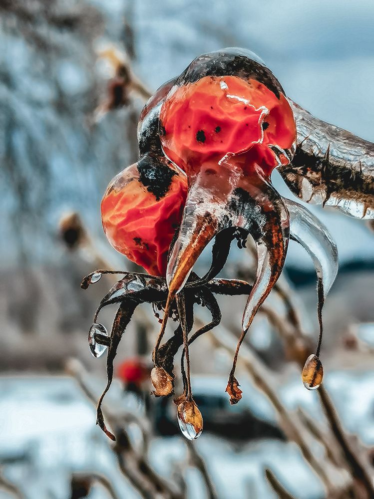Photograph by Наталья Хачик