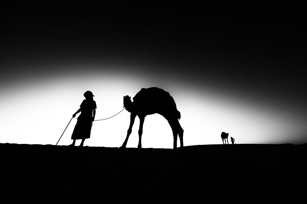 Photograph by Adrian Grigore