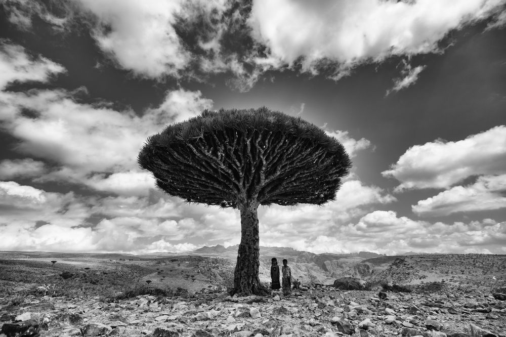 Photograph by Adrian Grigore