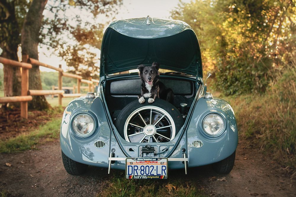 Photograph by Laura Quintanel