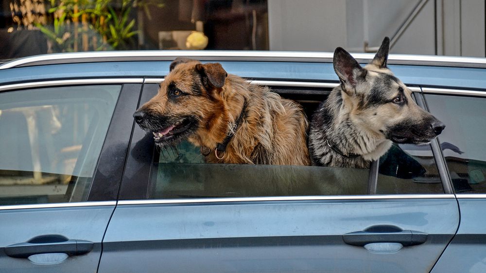 Observation in your sector