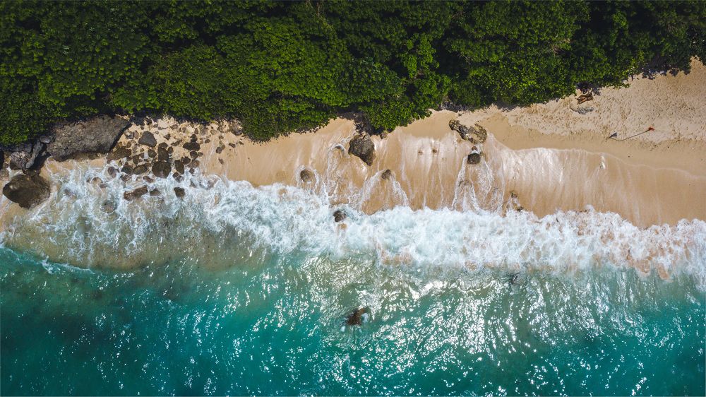 Photograph by Anthony