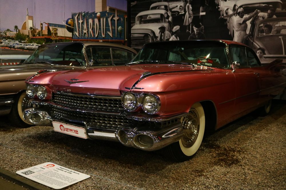 Photograph by Светлана Шуткова