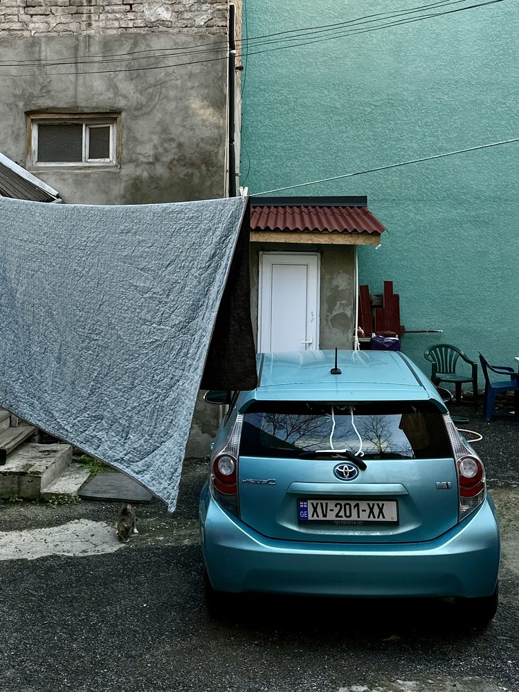 Photograph by Елена Брижеватая