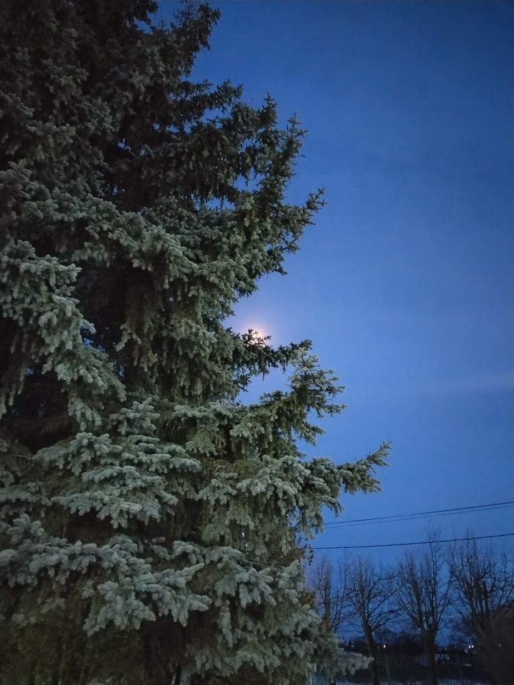 Photograph by Татьяна Краева
