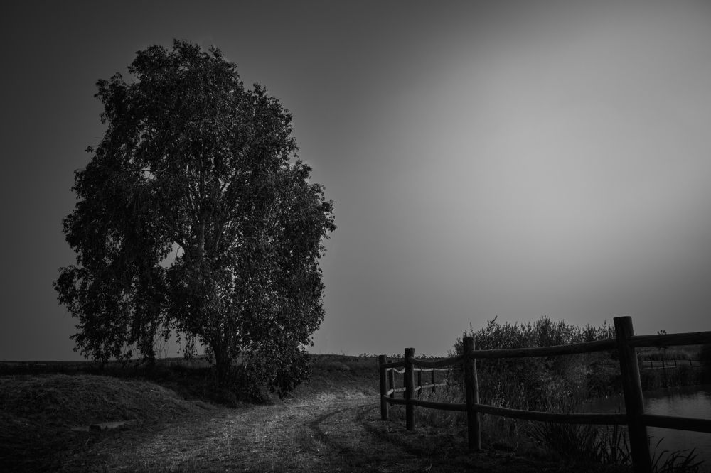 Photograph by Kike