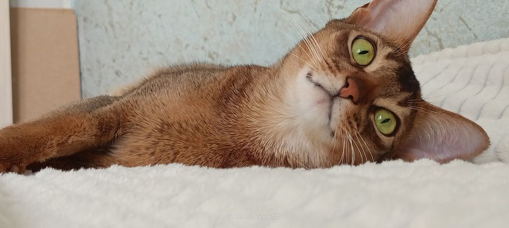 Photograph by Людмила Лапытова