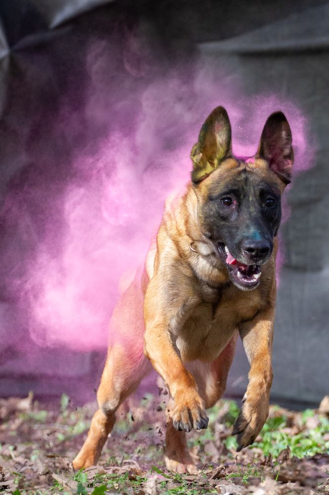 Фотография автора Анна Яковенко