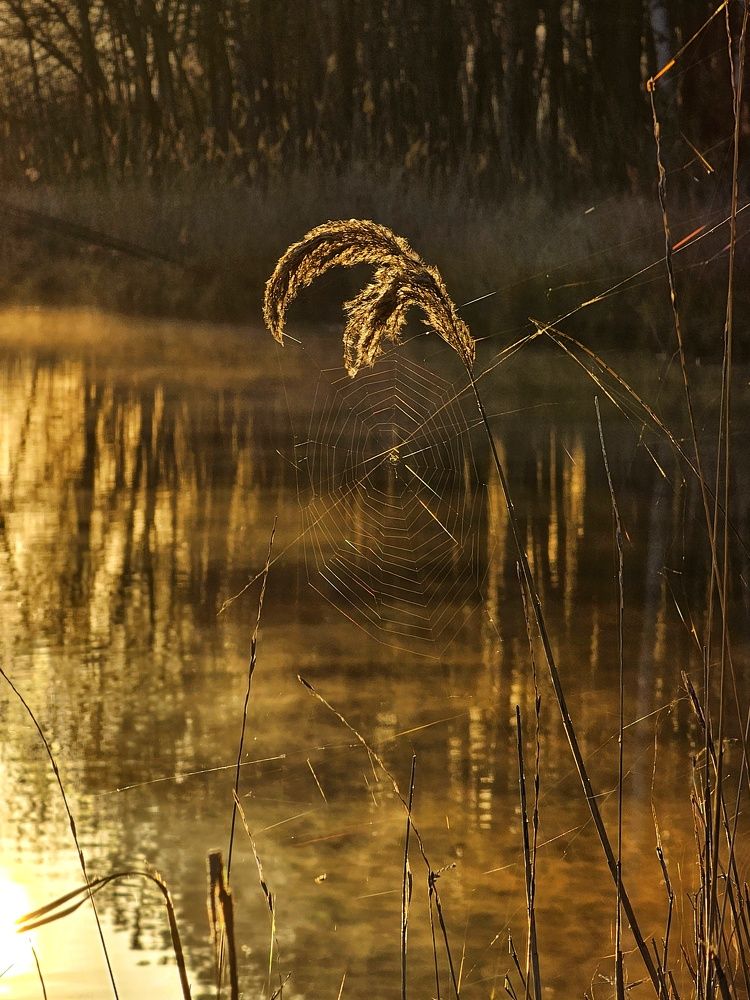 Photograph by Аня Белозерова