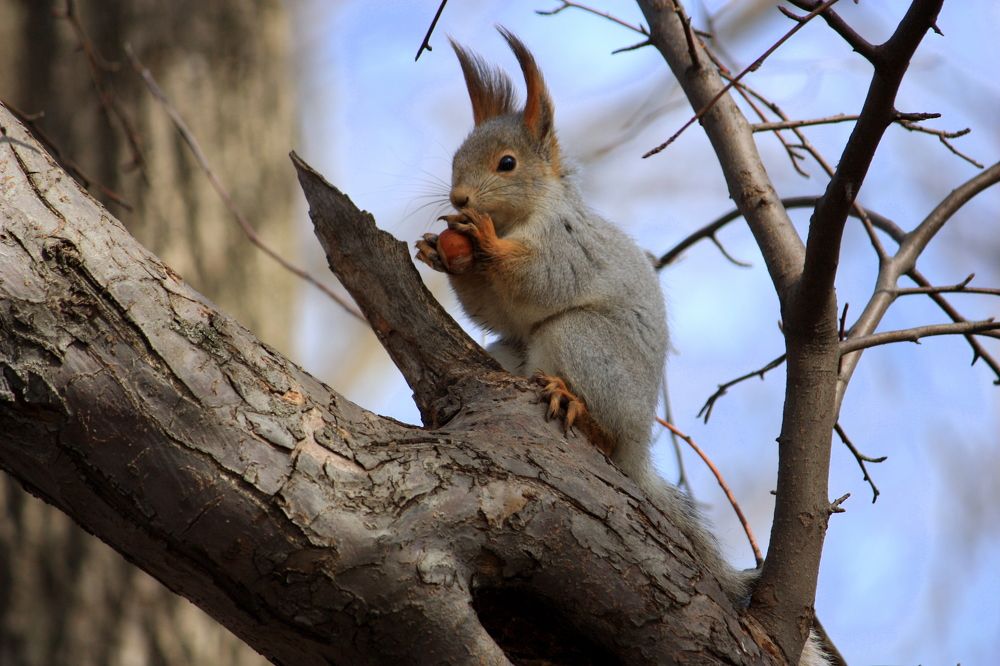 Photograph by Ольга Павлова