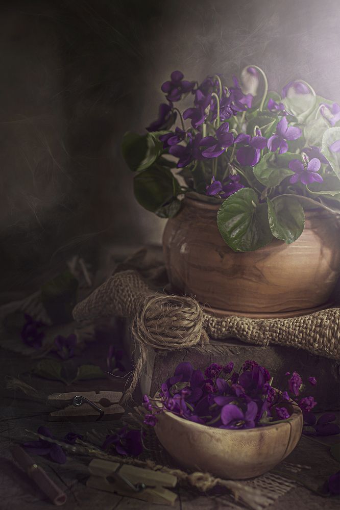 Photograph by Наталия Багриновская